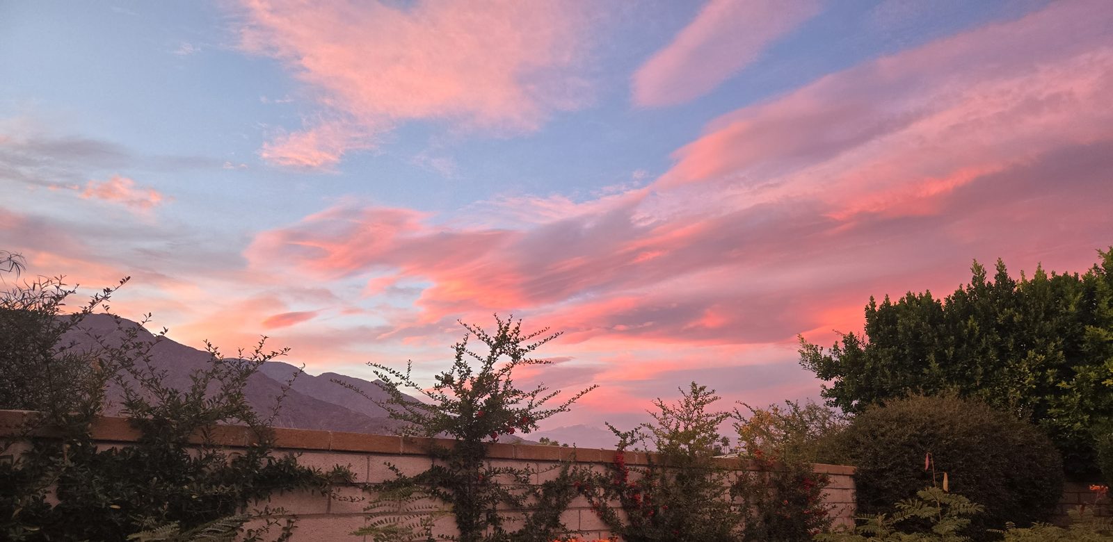 Palm Springs sunset with mountains and desert garden